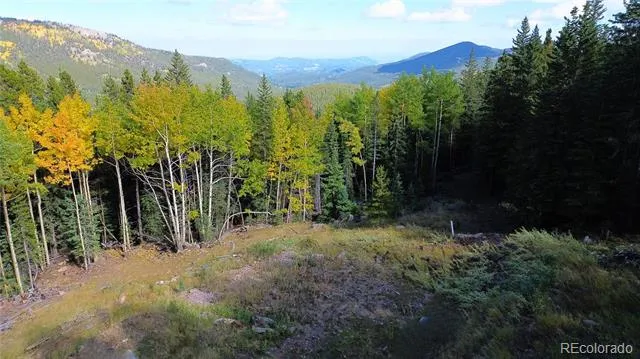429 Sawmill Lane Idaho Springs, CO 80452