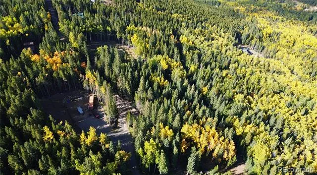429 Sawmill Lane Idaho Springs, CO 80452