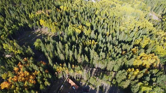 429 Sawmill Lane Idaho Springs, CO 80452