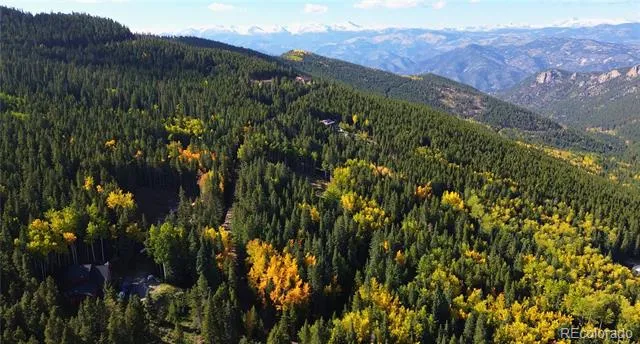 429 Sawmill Lane Idaho Springs, CO 80452