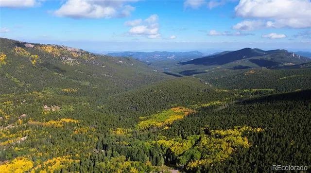 429 Sawmill Lane Idaho Springs, CO 80452