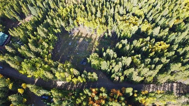 429 Sawmill Lane Idaho Springs, CO 80452