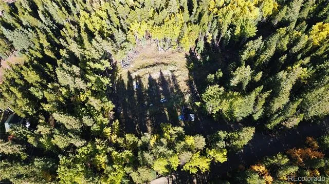 429 Sawmill Lane Idaho Springs, CO 80452