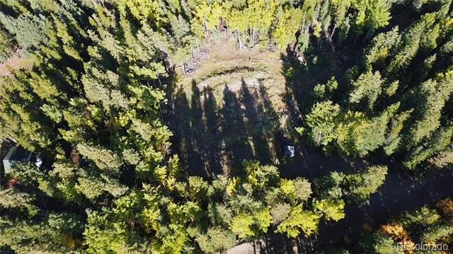 429 Sawmill Lane Idaho Springs, CO 80452