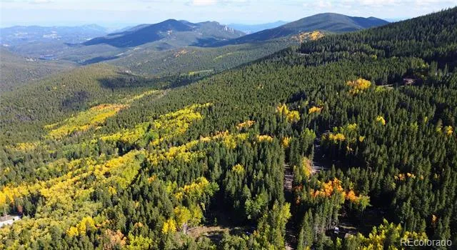 429 Sawmill Lane Idaho Springs, CO 80452