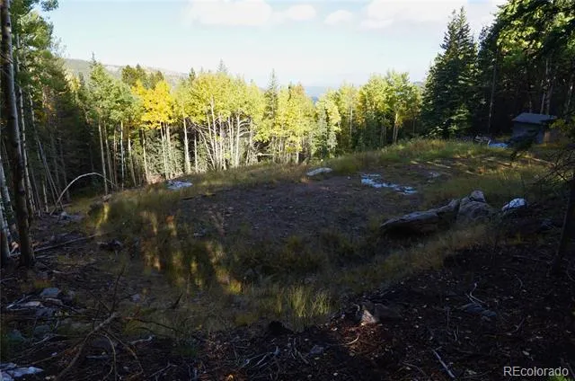 429 Sawmill Lane Idaho Springs, CO 80452