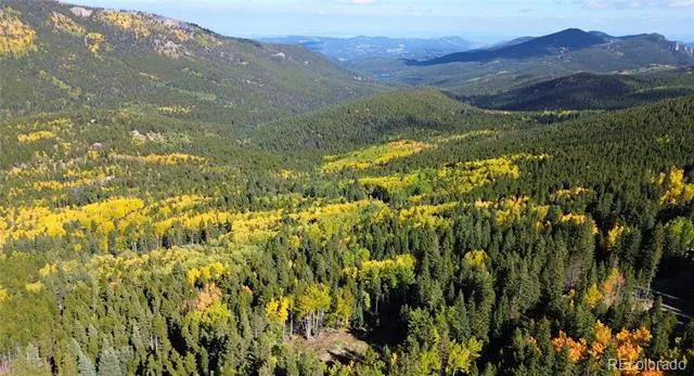 429 Sawmill Lane Idaho Springs, CO 80452