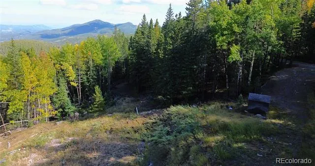429 Sawmill Lane Idaho Springs, CO 80452