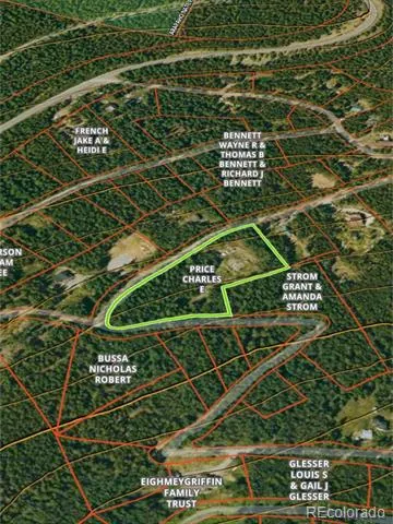 429 Sawmill Lane Idaho Springs, CO 80452
