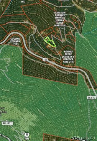 429 Sawmill Lane Idaho Springs, CO 80452