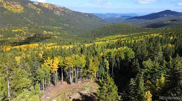 429 Sawmill Lane Idaho Springs, CO 80452