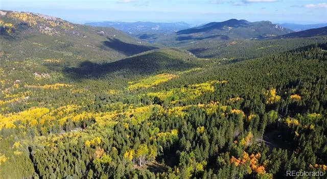 429 Sawmill Lane Idaho Springs, CO 80452