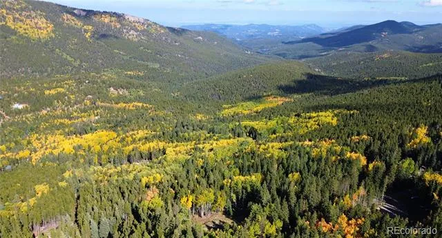 429 Sawmill Lane Idaho Springs, CO 80452