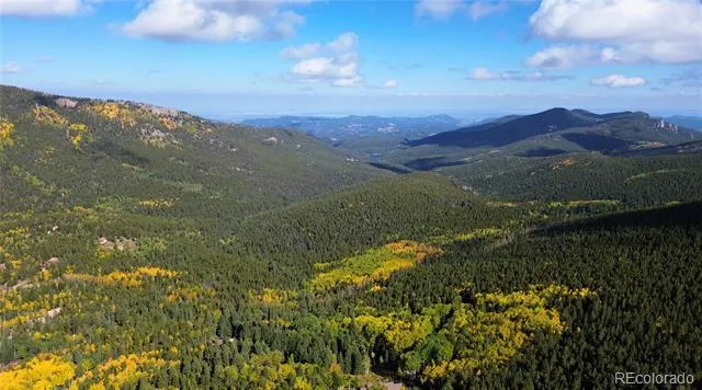 429 Sawmill Lane Idaho Springs, CO 80452