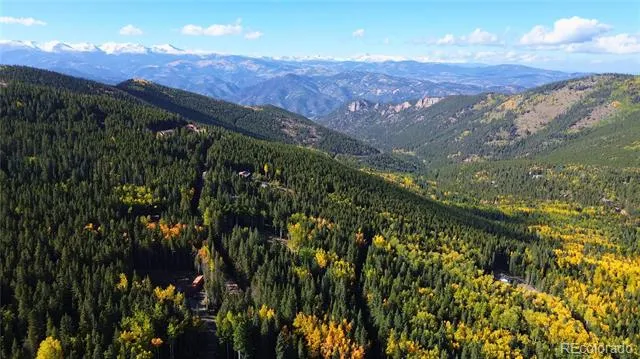 429 Sawmill Lane Idaho Springs, CO 80452