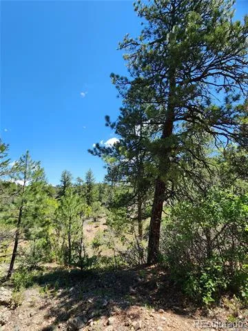102 Kevin Drive Cotopaxi, CO 81223