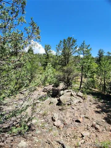 102 Kevin Drive Cotopaxi, CO 81223