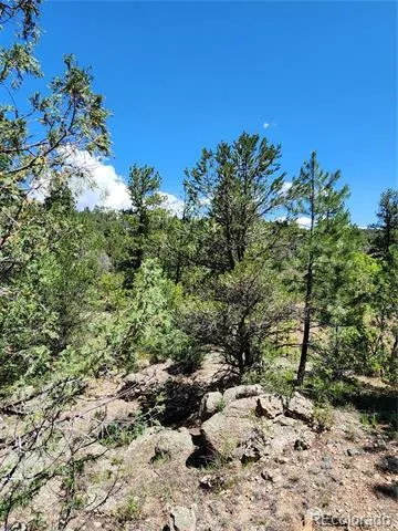 102 Kevin Drive Cotopaxi, CO 81223