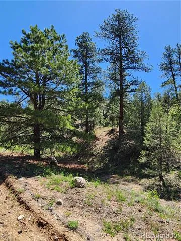 102 Kevin Drive Cotopaxi, CO 81223