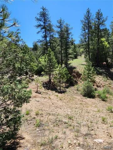 102 Kevin Drive Cotopaxi, CO 81223