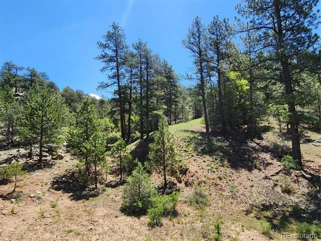 102 Kevin Drive Cotopaxi, CO 81223