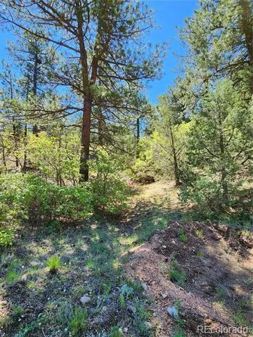 102 Kevin Drive Cotopaxi, CO 81223