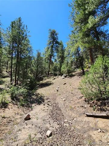 102 Kevin Drive Cotopaxi, CO 81223