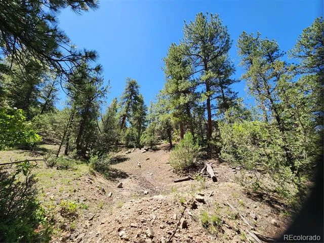 102 Kevin Drive Cotopaxi, CO 81223
