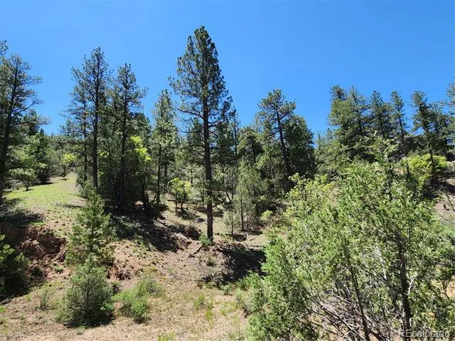 102 Kevin Drive Cotopaxi, CO 81223