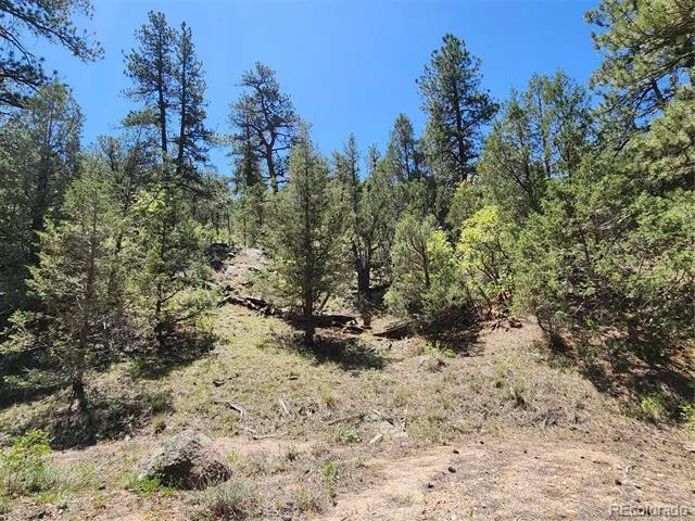 102 Kevin Drive Cotopaxi, CO 81223