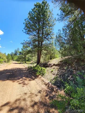 102 Kevin Drive Cotopaxi, CO 81223
