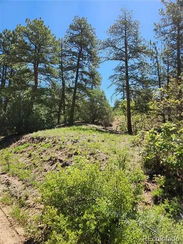102 Kevin Drive Cotopaxi, CO 81223