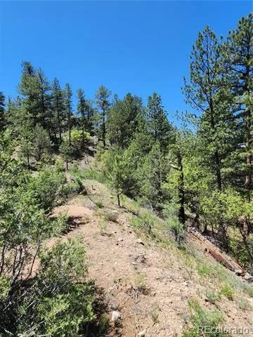 102 Kevin Drive Cotopaxi, CO 81223