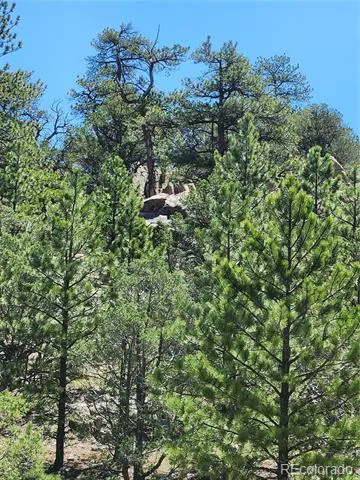 102 Kevin Drive Cotopaxi, CO 81223