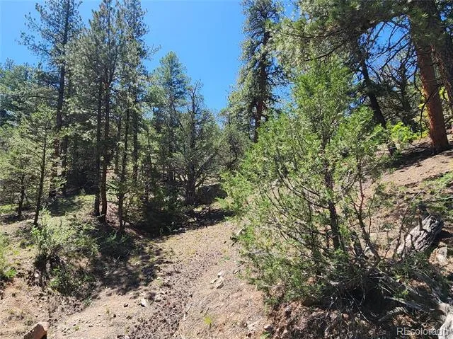 102 Kevin Drive Cotopaxi, CO 81223