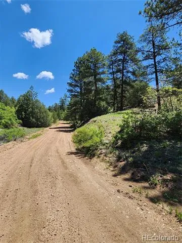 102 Kevin Drive Cotopaxi, CO 81223