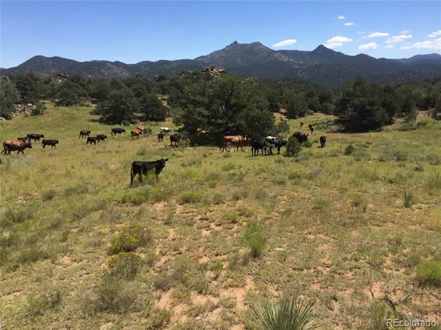 7200 State Highway 69 Cotopaxi, CO 81223