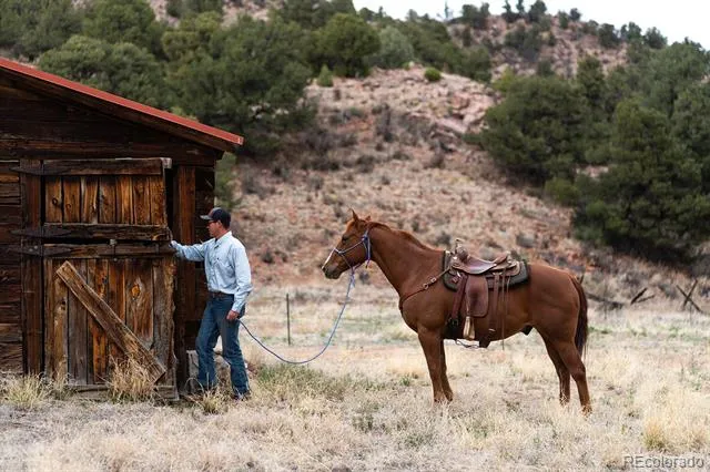7200 State Highway 69 Cotopaxi, CO 81223