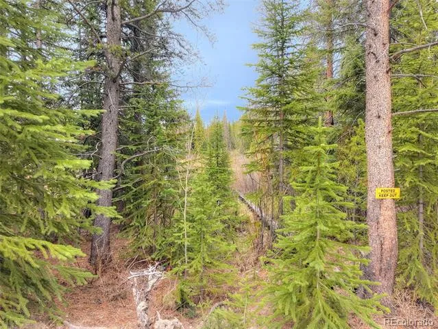 12 Blue Rock Drive Breckenridge, CO 80424