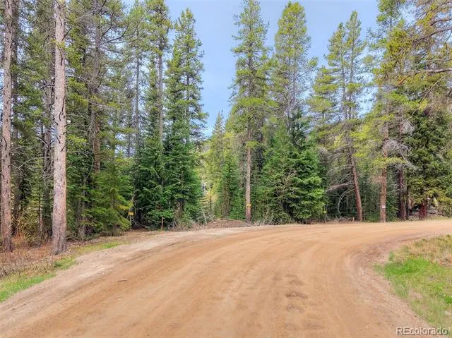 12 Blue Rock Drive Breckenridge, CO 80424