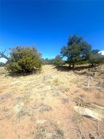 4469 Greenview Court Crestone, CO 81131