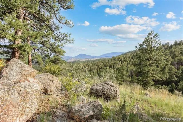 13817 Gordon Court Pine, CO 80470