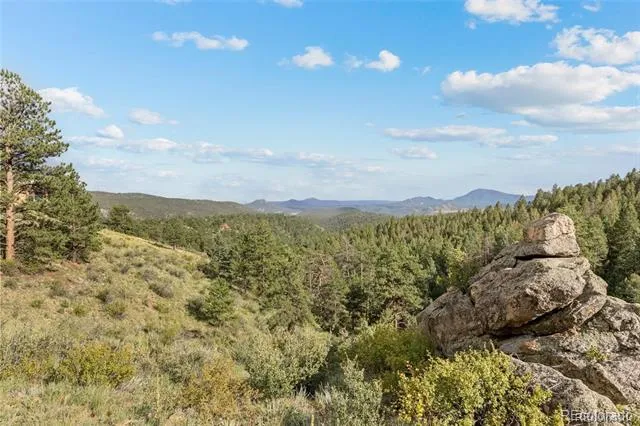 13817 Gordon Court Pine, CO 80470
