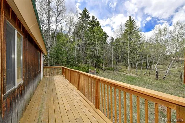 454 Eagle Rock Road Florissant, CO 80816