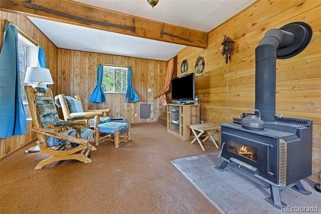 454 Eagle Rock Road Florissant, CO 80816