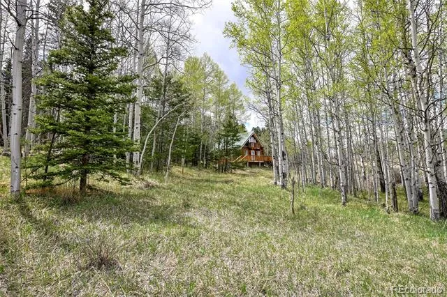 454 Eagle Rock Road Florissant, CO 80816