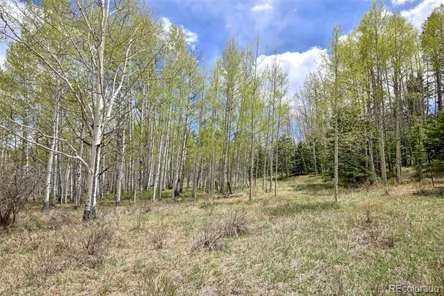 454 Eagle Rock Road Florissant, CO 80816
