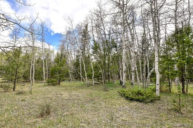 454 Eagle Rock Road Florissant, CO 80816