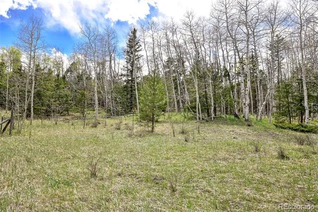 454 Eagle Rock Road Florissant, CO 80816