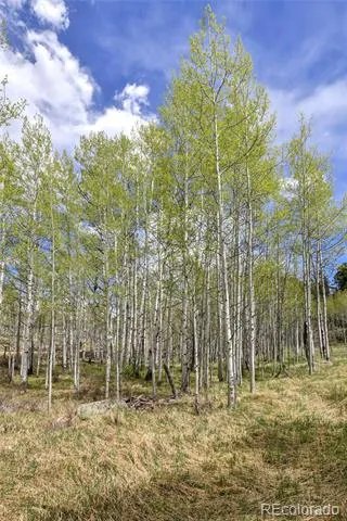 454 Eagle Rock Road Florissant, CO 80816